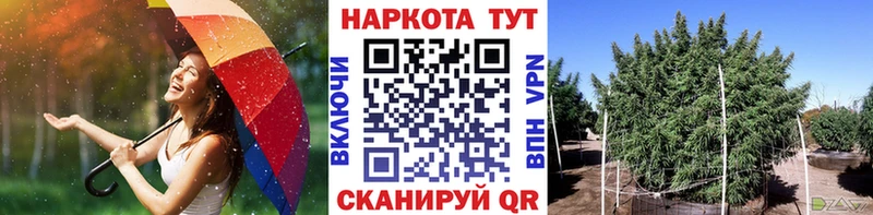 Продажа наркотиков Игра Кокаин A PVP Псилоцибиновые грибы Меф ГЕРОИН Амфетамин Марихуана
