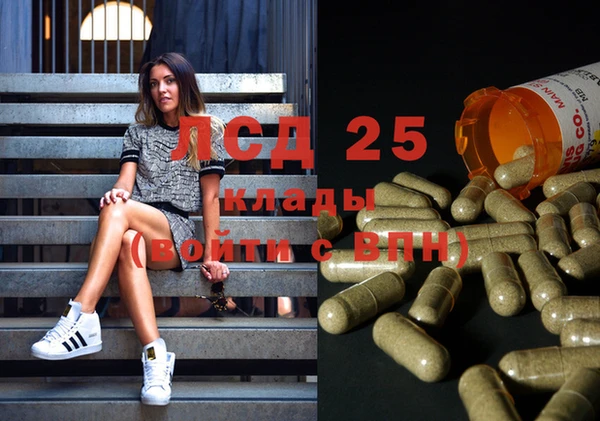 прущие грибы Алексин