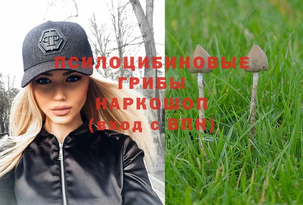 прущие грибы Алексин