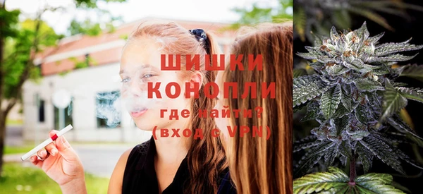 PSILOCYBIN Новокубанск